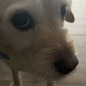 Meet your Posher, Jada